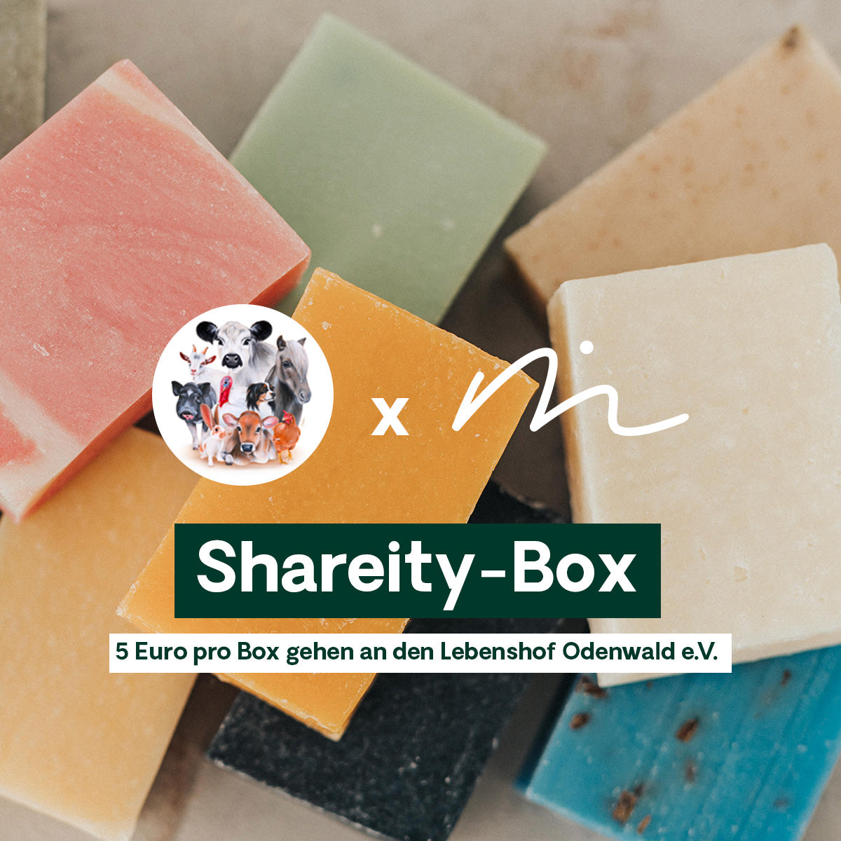 Shareity-Box